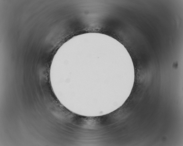 X0000115650370200912221336
