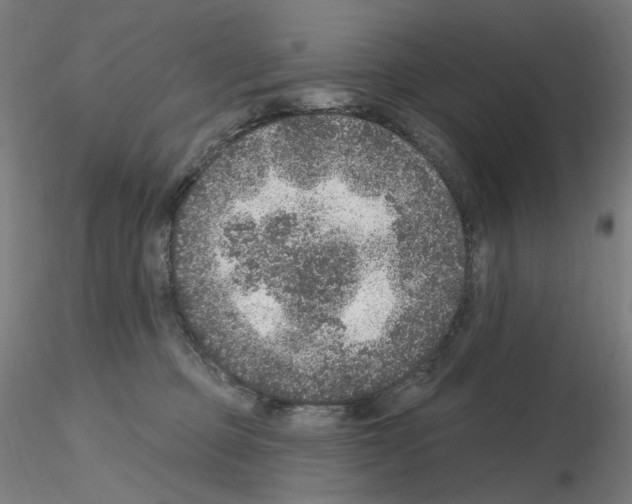 X0000115650373200912221336