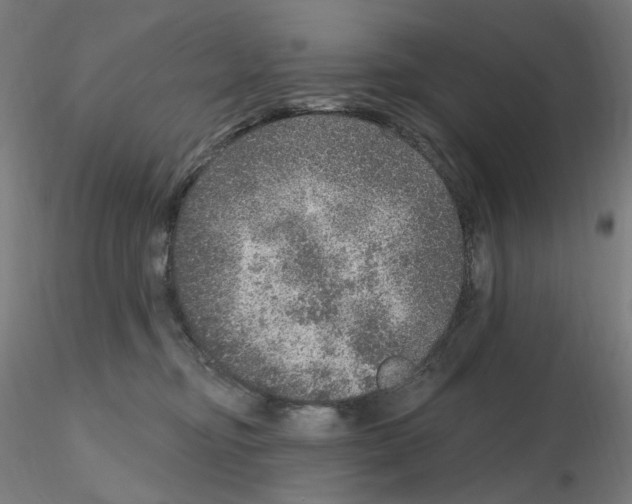 X0000115650374200912221336
