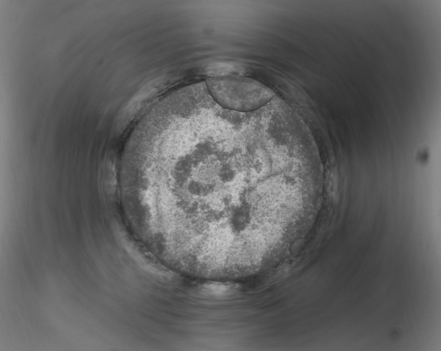 X0000115650375200912221336