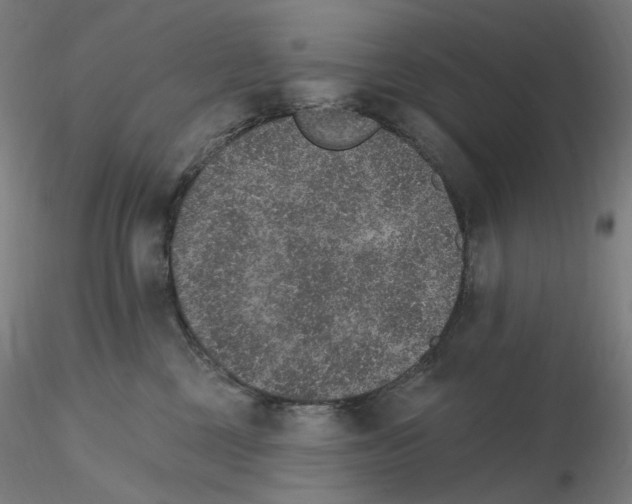 X0000115650377200912221336