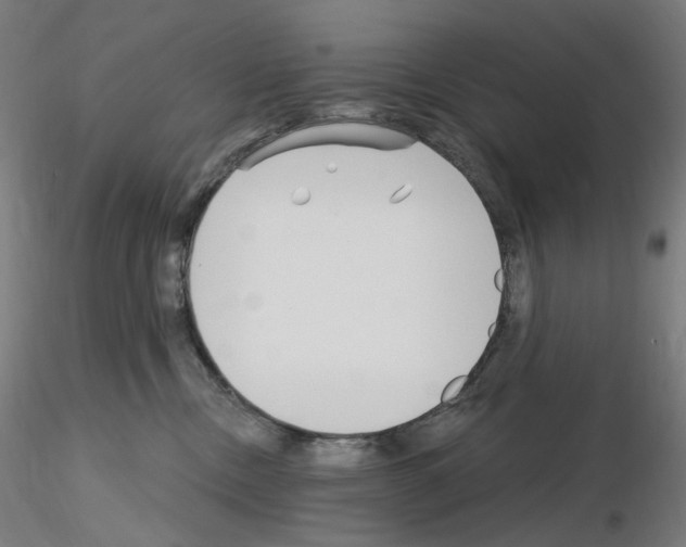 X0000115650378200912221336