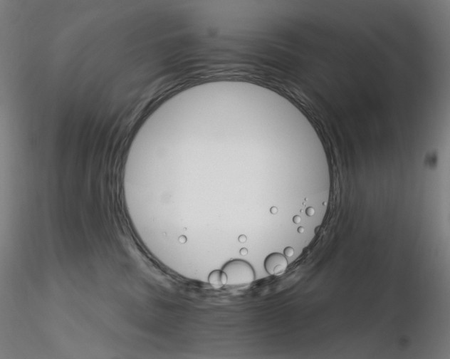 X0000115650379200912221336