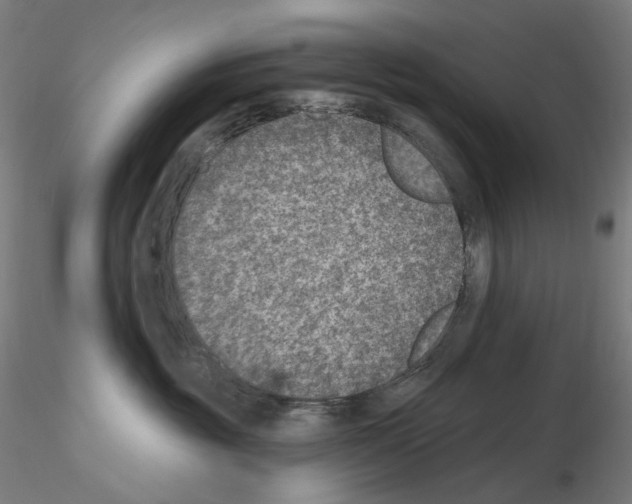X0000115650381200912221336