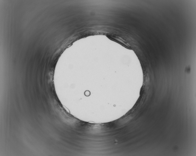 X0000115650382200912221336