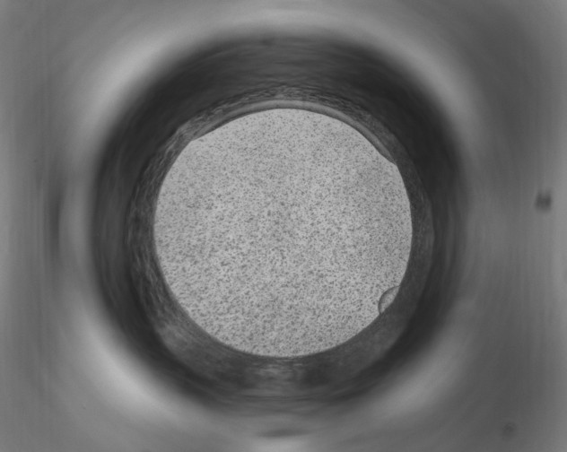 X0000115650383200912221336