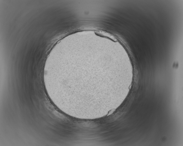 X0000115650385200912221335