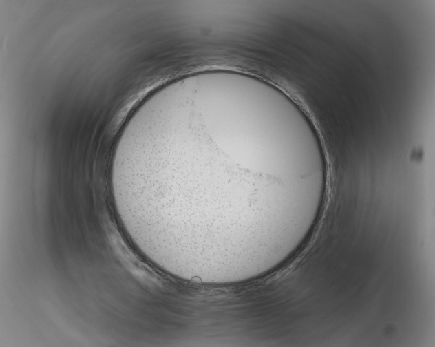 X0000115650386200912221335