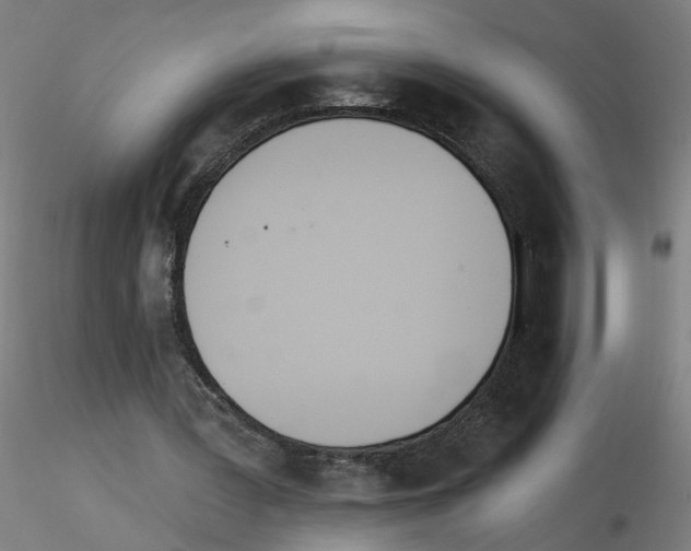 X0000115650387200912221335
