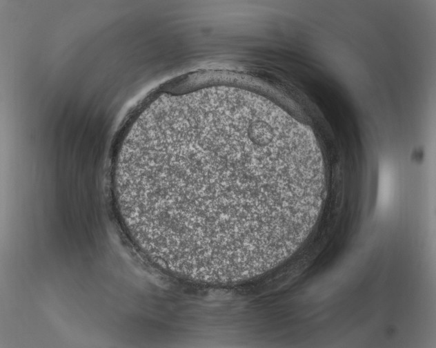 X0000115650388200912221335