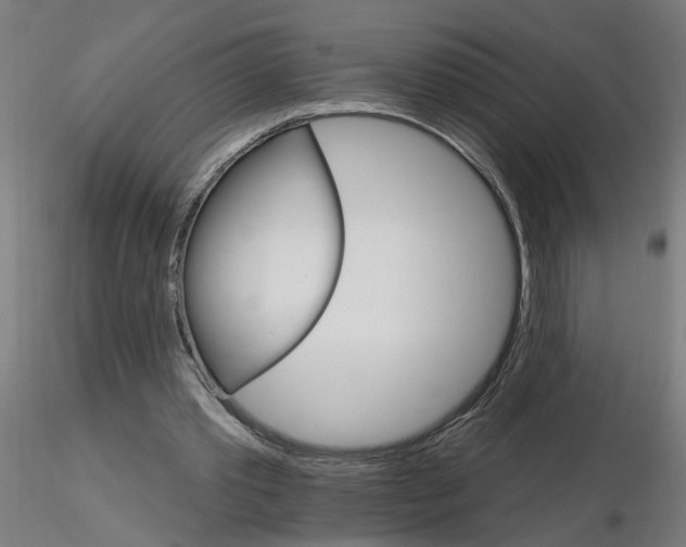 X0000115650389200912221335