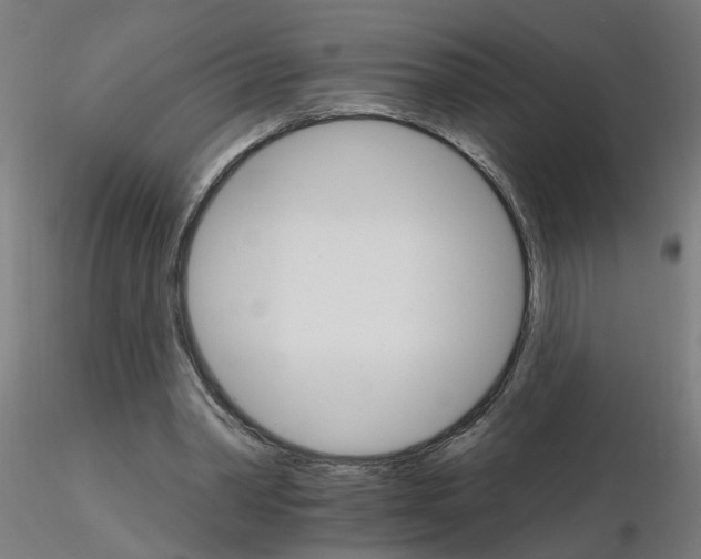 X0000115650390200912221335