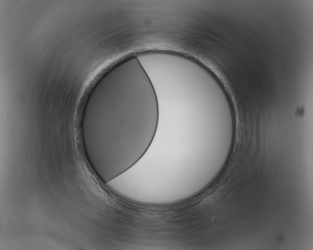 X0000115650391200912221335