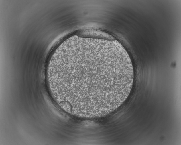 X0000115650392200912221335