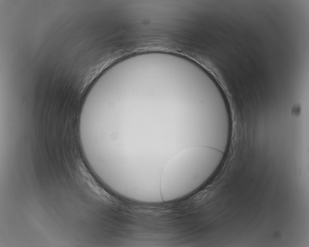 X0000115650393200912221335