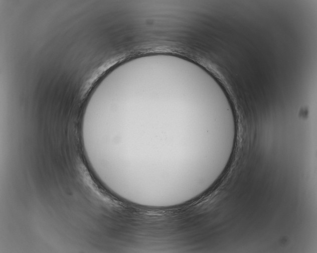 X0000115650394200912221335