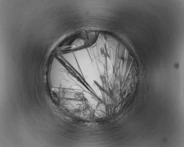 X0000115650395200912221335