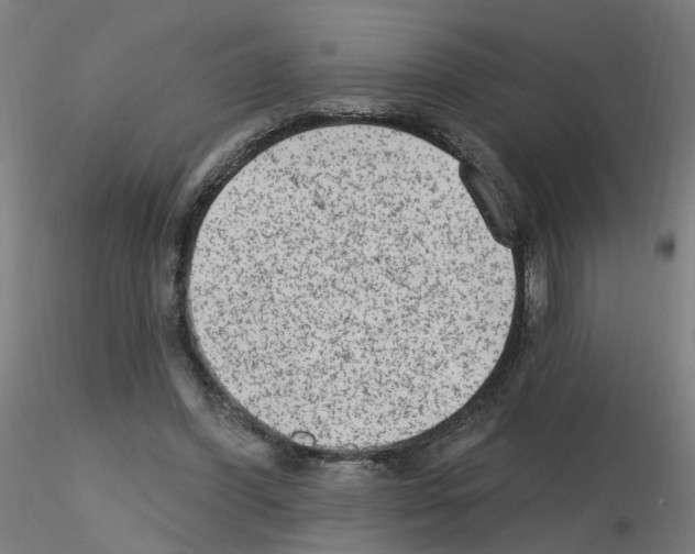 X0000115650396200912221335
