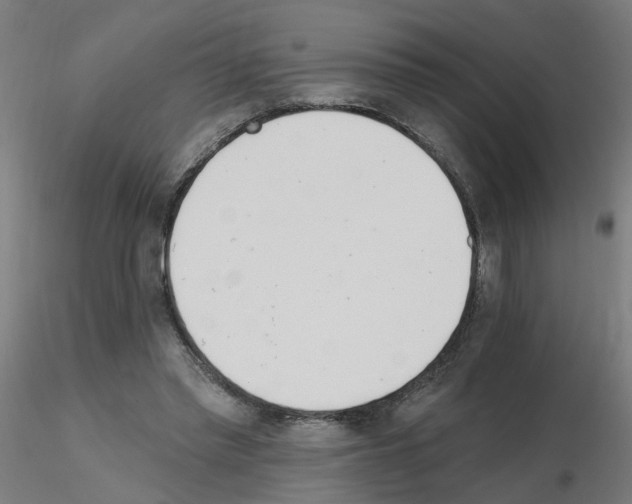 X0000115650397200912221335