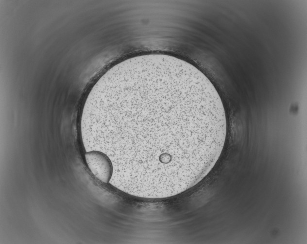 X0000115650398200912221335
