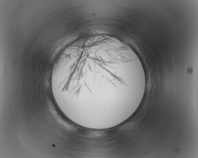 X0000115650402200912221335
