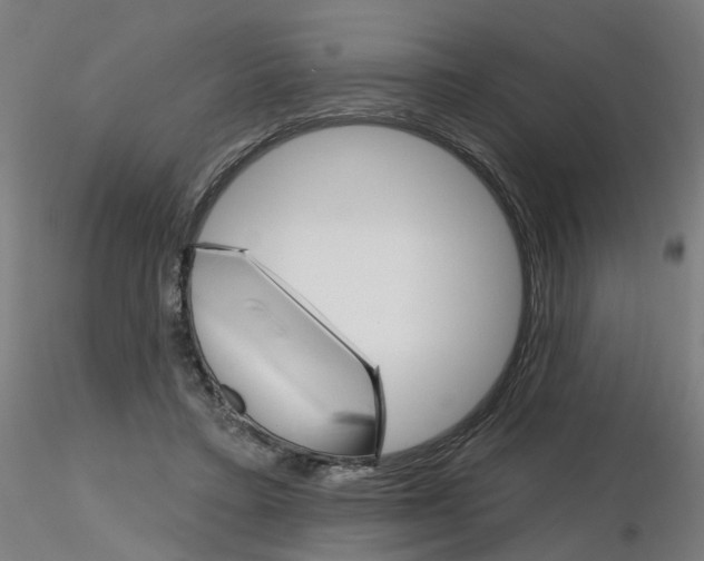 X0000115650403200912221335