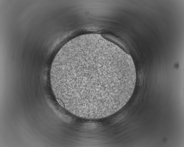 X0000115650404200912221335