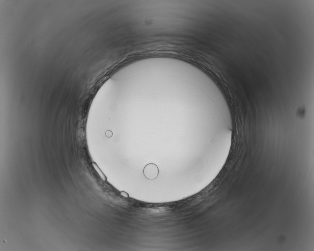X0000115650411200912221335