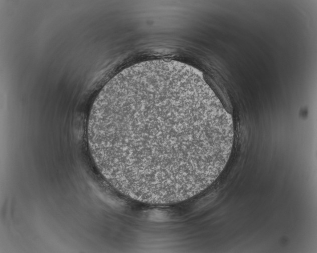 X0000115650412200912221335