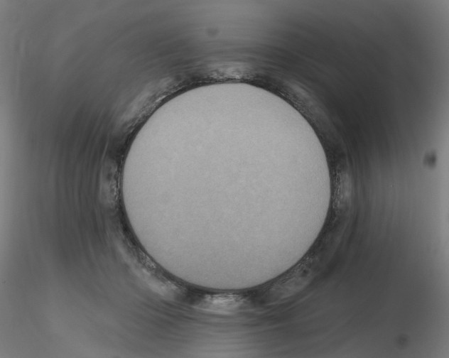 X0000115650414200912221335