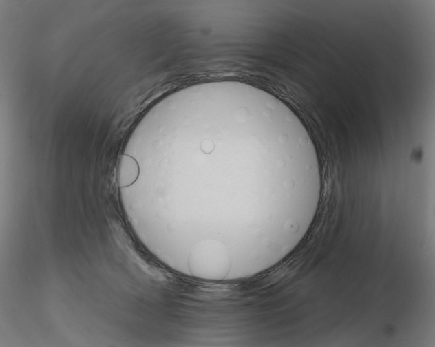 X0000115650418200912221335