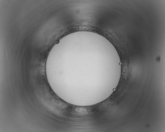 X0000115650419200912221335