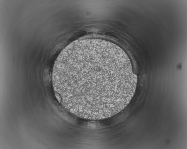 X0000115650420200912221335