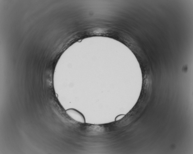 X0000115650421200912221335