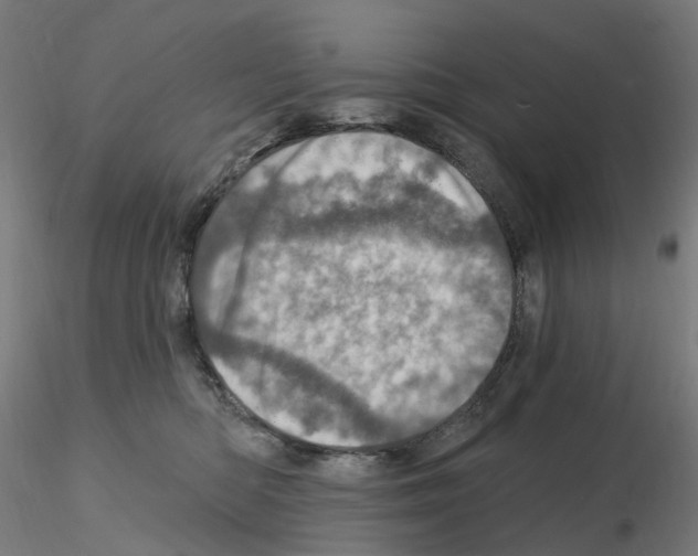 X0000115650422200912221335