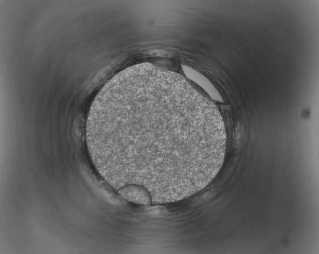 X0000115650424200912221335