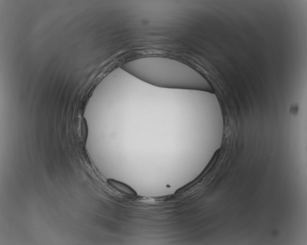 X0000115650425200912221335