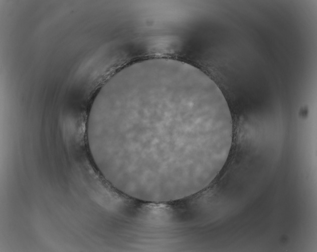 X0000115650427200912221335