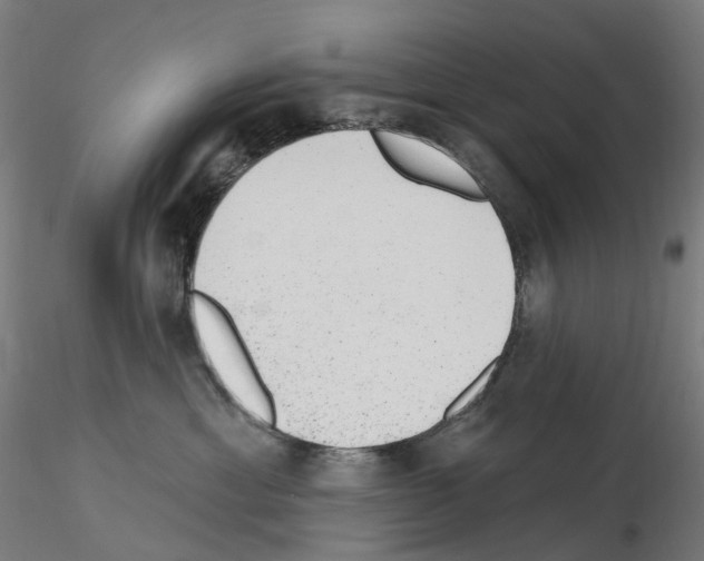 X0000115650429200912221335