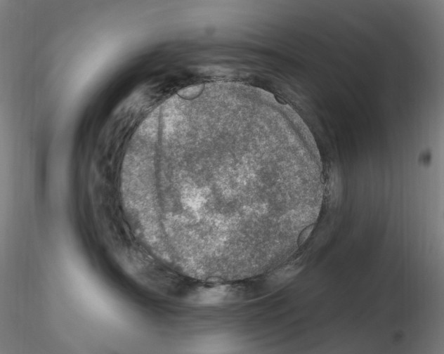 X0000115650430200912221335