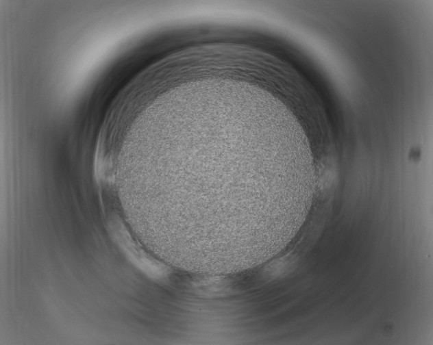 X0000115650431200912221335