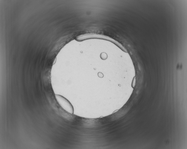 X0000115650432200912221335