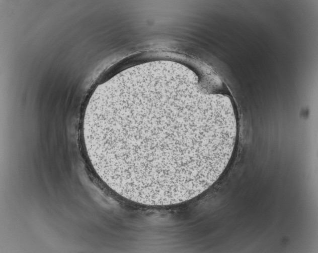 X0000115650434200912221334