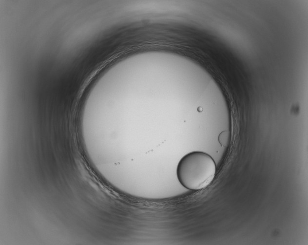 X0000115650435200912221334