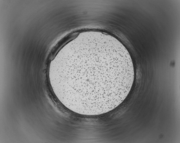 X0000115650436200912221334