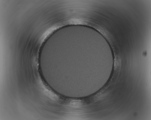 X0000115650438200912221334