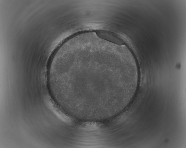 X0000115650439200912221334