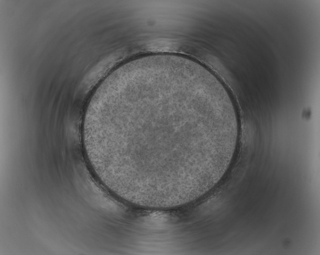 X0000115650441200912221334