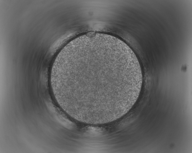 X0000115650442200912221334