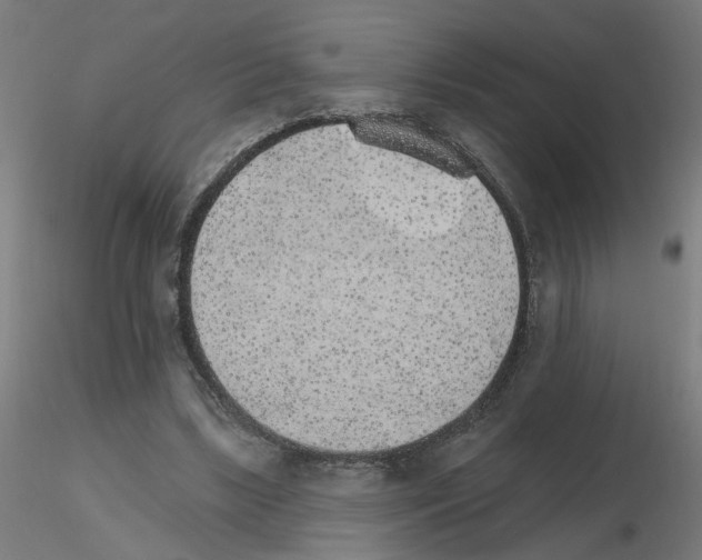 X0000115650443200912221334